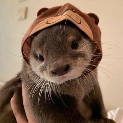 casaucey_'s profile picture. he him disc @/casaucey