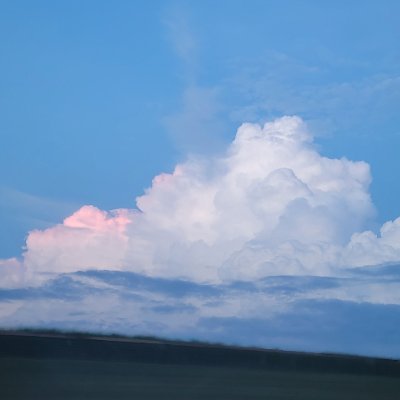 Isellaspears's profile picture. T-bred horse racing, tennis.