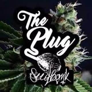 WE SHIP TOP SHELF BUDS,LEAN AND DISPOSABLE CARTS JOIN TELEGRAM AND POTATO APP CHANNEL BELOW AND STAY UPDATED WITH EVERYTHING
https://t.co/chCRfhmtK9
