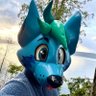 SockYote's profile picture. 25 | 📸 + 🖥️ + 🧦 + 🎵 | They/Them | ⭐ Queer fox-yote w/ lots of dreams