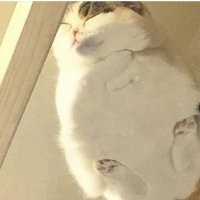 辨 (@iwillnotrunaway) Twitter profile photo