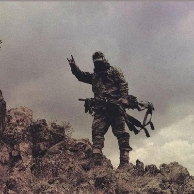 elimizde soğuk namlularla yürüyorken dağlara.
selam geldi şehitlerden savaşan tüm sağlara!
