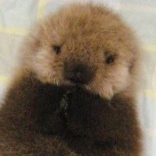 wodb423's profile picture. 하느님도두손두발들었지