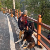 Diksha Lohiya (@dikshalohiyaa) 's Twitter Profile