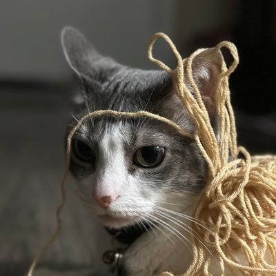 le_wuter's profile picture. 