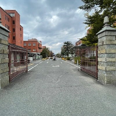 練習参加、飲み会、大会参加などありとあらゆることに対する強制参加を禁止したテニスサークルです!きつい練習は嫌だけど楽しくレジャー感覚でテニスを楽しみたい方大歓迎です!
京大の全学部の方、経験未経験に関わらず歓迎してます!