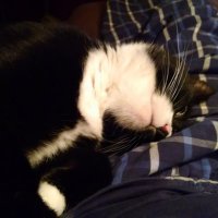 George Connelly (@georgec94308079) 's Twitter Profile