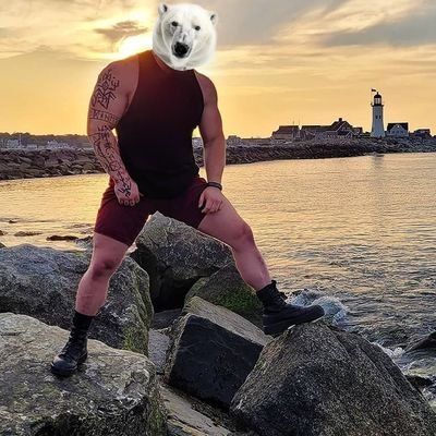 Icebear Profile