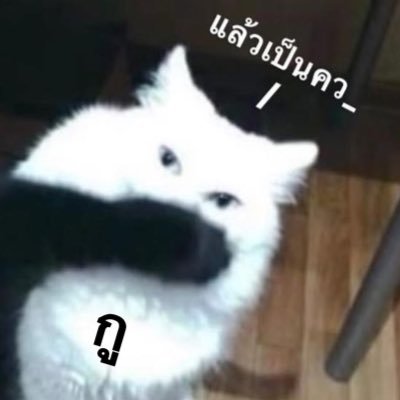 chogyumn's profile picture. life is not daijoubu..