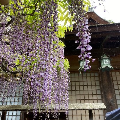 松井江ってこんなに身長高いキャラだったん？