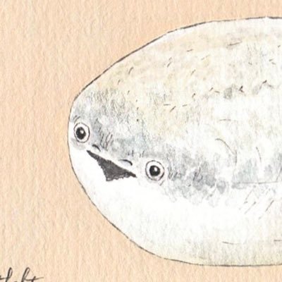 とうからさんのプロフィール画像