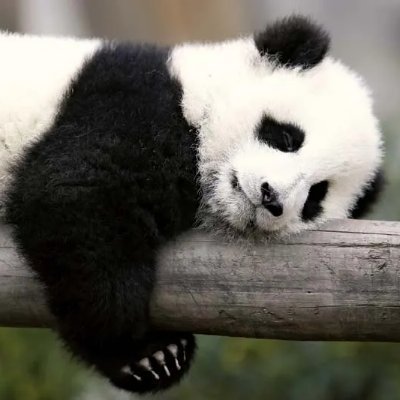 JohnDerickGatc1's profile picture. Auto follow back 🤝