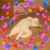 💗 (@sembanggajah) Twitter profile photo 💗 (@sembanggajah) Twitter profile photo