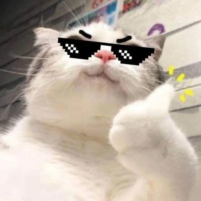 0xronakm's profile picture. swe. student. memes. etc.