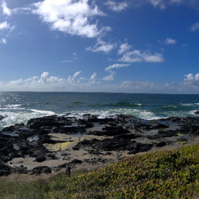 sonull_khosla's profile picture. Just here to doom-scroll. She/her