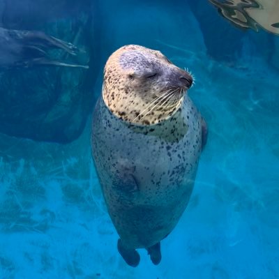 mu_240218's profile picture. 