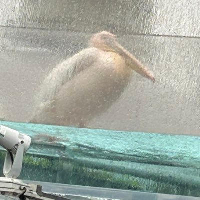 ヮ夕ﾉﾚさんのプロフィール画像