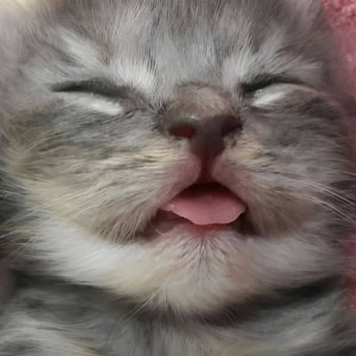 ChcknBrcll's profile picture. 