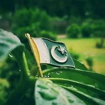 JuttSab36's profile picture. ❤️إِيَّاكَ نَعْبُدُ وَإِيَّاكَ نَسْتَعِينُ🖤