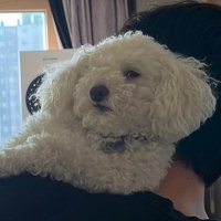 ミソ (@mj_omiso) 's Twitter Profile Photo ミソ (@mj_omiso) 's Twitter Profile Photo