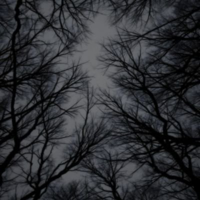 silverbull110's profile picture. 