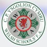 WelshSchoolsFA's profile picture. WSFA is your National Schools Provider - We develop and inspire football for Schools, Associations and U14, U16 & U18 International Representative Teams.