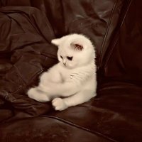 سويّر🌷 (@e__5d) 's Twitter Profile Photo