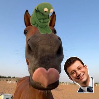 🧸Sistemsizliğin 🤠 çocuğu 🐍lone wolf 🐺 dark horse 🐴🍷betman 💰🦇 çökülmüş beylerbeyi❄️solo gurme 🤌 solak gibi sağlak👌👋🐫 no big mac 🍔yes kickback💪öz pt