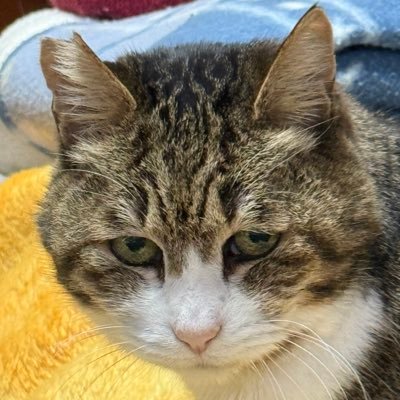 イオさんのプロフィール画像
