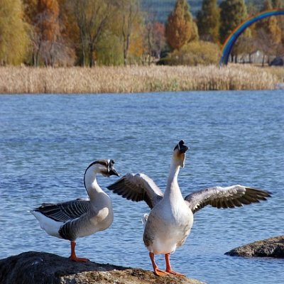 Winifred360411's profile picture. 