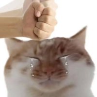 킁킁떼 (@namjajonnacool) 's Twitter Profile