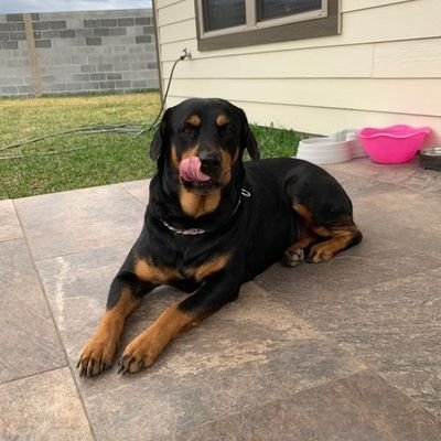 AnitaSmith95769's profile picture. fun to chat with 😍 ❣️❣️❣️❣️💗💕💗💗💗💗💗💗💗💗💗💗💗💗💗