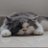 _sylvyregui04's profile image