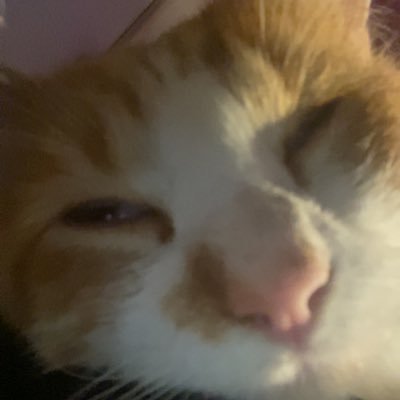@codyy_cobers