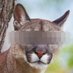 vmprotect Profile picture