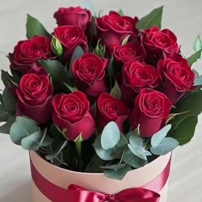 Harish61347824's profile picture. 