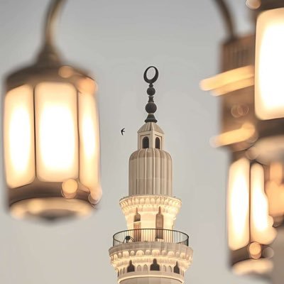 يُغرد الحساب بصفحات من القرآن الكريم بهدف عدم هجر القرآن الكريم و الإستفادة من بعض وقت الفراغ بقراءة بعض الآيات ..