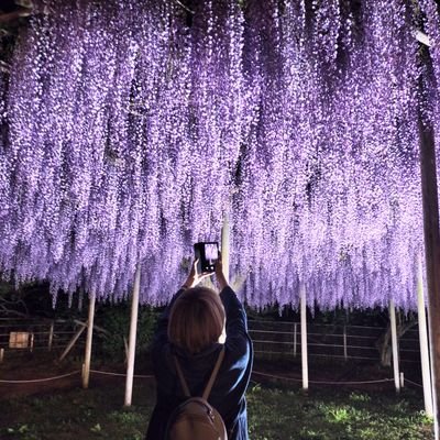 ずーっとSuGが好き!一生SuG充(ノ*°▽°)ノ☆*.*・゚
📷写真/武瑠/b.e.d deep/音楽(雑食)/カラオケ/モンスト/ポケGO/MHNow/メメントモリ/コナンTCG/アリエル/とかげ/🍓🍫🍜💜
過去は引きずるものじゃなくて背負うもの✻*˸ꕤ*˸*⋆。次会う時は胸を張って✻*˸ꕤ*˸*⋆。