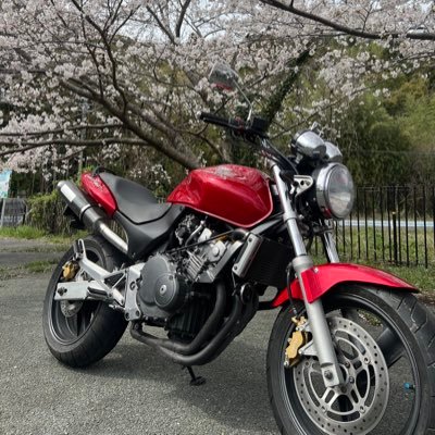 vAFilc5Bzu75651's profile picture. 愛車ホーネット 楽しくバイクに乗って、バイクライフ楽しんでます🏍³₃