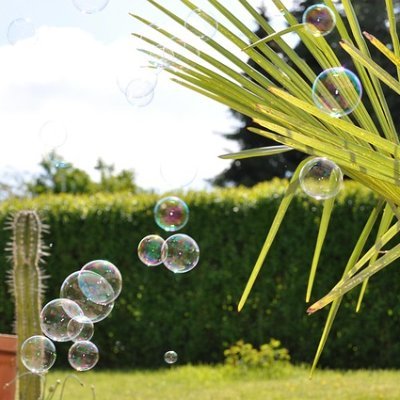 olciflormi92273's profile picture. 