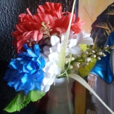 chichinem's profile picture. 