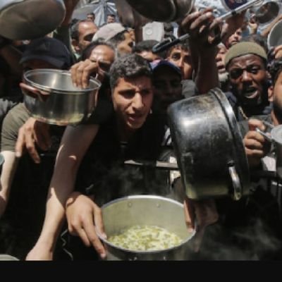 manipemehum's profile picture. 