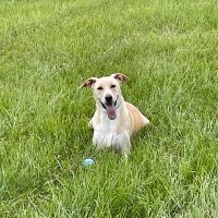Rob (@iheartm0chi) 's Twitter Profile