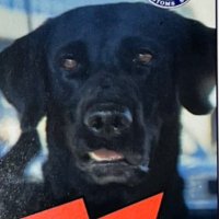 JASONinARLINGTON (@out_o_wack_chef) 's Twitter Profile Photo JASONinARLINGTON (@out_o_wack_chef) 's Twitter Profile Photo