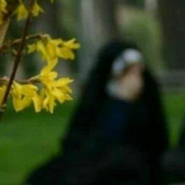 AtiehSaedi's profile picture. دائم‌الرفیـق‌فقط‌امام‌حُسیـن ِبقیه‌همه‌یه‌روزی‌میشن‌سابق‌الرفیـق:)!..... ️