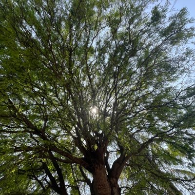 sukku_ar's profile picture. 