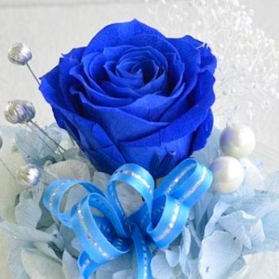 NETBLUE10's profile picture. TM NETWORK、ブルーハーツ、中森明菜、globe、高橋幸宏、少年隊、James Dean 、コナン、SASUKE、スポーツ大好き（特に陸上🏃）