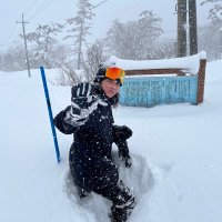 みつなり (@eisei_mnr) 's Twitter Profile