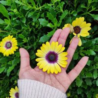 L 🌻 (@liaelf07) 's Twitter Profile Photo
