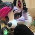 ⋆Romi⋆ (@romifox_) Twitter profile photo ⋆Romi⋆ (@romifox_) Twitter profile photo
